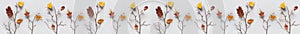 Creative autumn banner. Branches of trees with colorful autumn leaves on clothespins on gray background. Top view, Flat