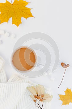 Creative autumn flat lay overhead top view coffee cup warm knitted sweater on white background copy space minimal style Fall