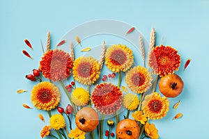Creative autumn nature composition with orange and yellow gerbera flowers, decorative pumpkins, wheat ears. Thanksgiving day