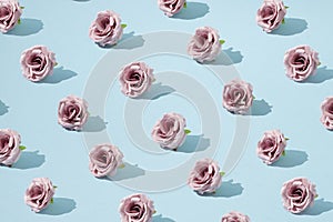 Creative Autumn pattern concept of fresh pink roses. Flowers on pastel blue background