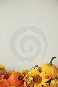 Creative autumn still life. Colorful autumn flowers, pumpkin, pattypan squash against rustic background. Happy Thanksgiving!