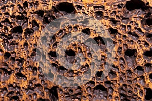 Creative background. Trypophobia concept, fear of close-packed holes.