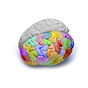 Creative Emotions Brain