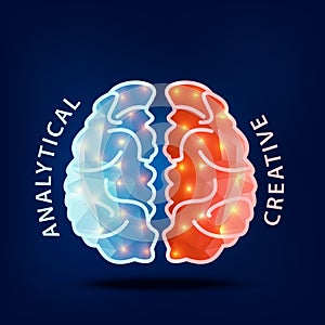 Creative brain Idea.Left and right hemisphere of human brain