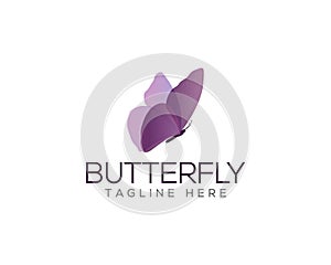 creative butterfly Logo Design,