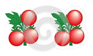 Creative cartoon clipart of growing plant with red round tomatoes isolated on white background. Vector organic vegetable sticker