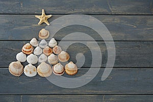 Creative christmas tree made from seashells and starfish on dark wiiden background,