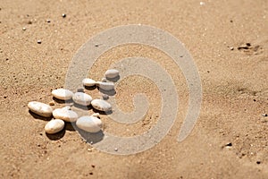 creative christmas tree made of stones on the beach. summer new year concept. copyspace