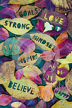 Creative colorful autumn concept for self motivation and positive attitude with words carved into leaves. Flat lay.