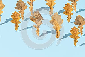 Creative composition of autumn leaves against a bright blue background. Minimal nature seasonal concept