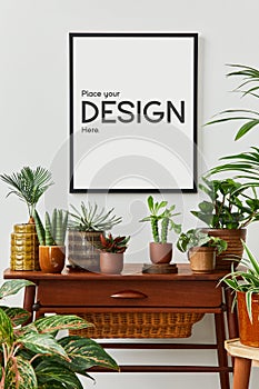 Creative composition of cozy plants lover home interior design with mock up poster frame, wooden furniture and different plants.