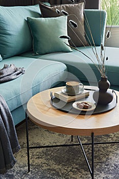 Creative composition of details of modern living room interior in small apartment. Eucalyptus sofa, pillows, small designed.