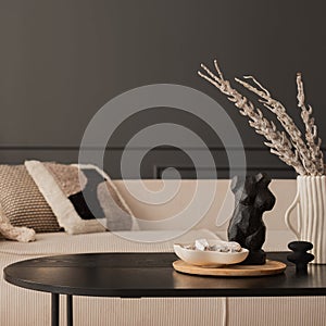 Creative composition of living room interior with modular beige sofa, black coffee table, vase with dried flowers, pillows, lamp,