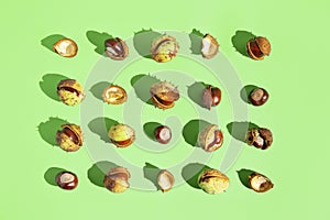 Creative composition made of chestnuts lying as a frame on green background. Nature consept. Falll and autumn theme photo