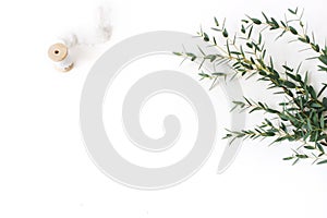 Creative composition made of green Eucalyptus parvifolia branches, silk ribbon and wooden spool on white table