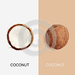 Creative concept of coconut. Healthy food and cosmetics.