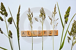 Creative concept, hay fever caused by grass pollens