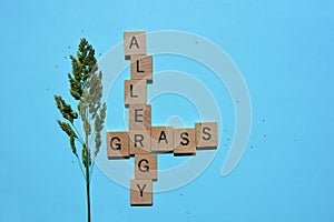 Creative concept, hay fever caused by grass pollens