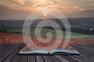 Creative concept pages of book Stunning poppy field landscape un
