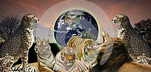 Creative concept of wildlife protecting planet