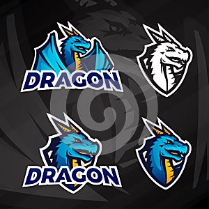 Creative dragon logo concept. Sport mascot design. College league insignia, Asian beast sign, Dragons illustration