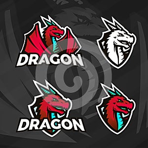 Creative dragon logo template. Sport mascot design. College league insignia, Asian beast sign, Dragons illustration