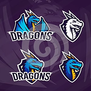 Creative dragon logo template. Sport mascot design. College league insignia, Asian beast sign, School team vector