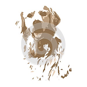 Creative drawing Golden Retriever