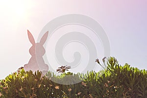 Creative easter photo of silhouette paper rabbit in the chamomile flowers and green grass on the sunset sky background.
