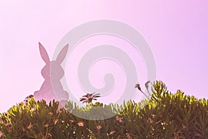 Creative easter photo of silhouette paper rabbit in the chamomile flowers and green grass on the sunset sky background.