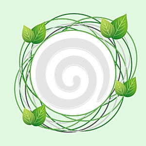 Creative Eco frame with circles and fresh leaves