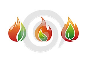 creative fire leaf set logo vector