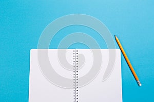 Creative flat lay photo of workspace desk. Top view office desk with open mock up notebooks and pencil and plant on blue pastel