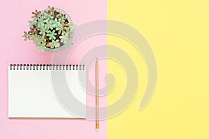 Top view office desk with open mock up notebooks and pencil and plant on pink yellow pastel color background.