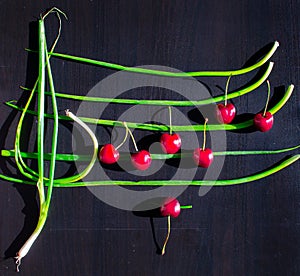 Creative food flat lay from red cherries and green onions arranged as music staff with notes of Happy Birthday melody