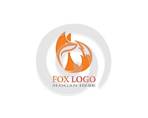 Creative Fox logo Template vector design