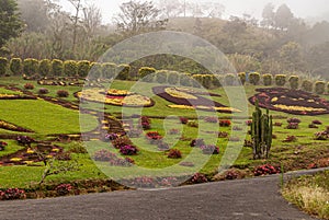 Creative garden on hill side along road, Alajuela Province, Costa Rica