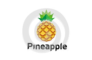 Creative Geometric Pineapple Fruit Logo