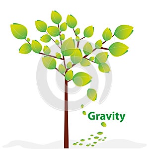 Creative gravity photo