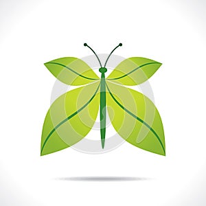 Creative green leaf butterfly design concept
