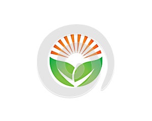 Creative Green Leaf Sun Logo Design