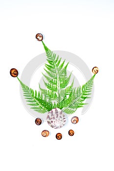 Creative green natural layout made of tropical fern leaves and seashell