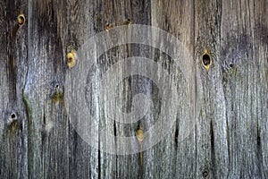 creative grunge wood background from old planed gray knotty planks of the outer wall of an ancient barn