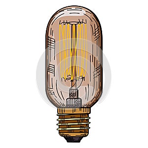 Creative hand-drawn light bulb illustration