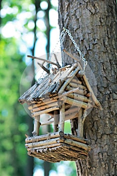 Creative hand made wooden bird house/bird feeder hanging on a chain on the tree in a park