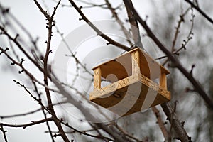 Creative hand made wooden bird house/bird feeder hanging on the tree in a park