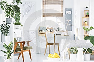 Creative home office interior with a retro armchair, desk, window, plants and bowl of yellow fruit