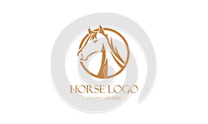 Creative horse logo icon symbol vector design illustration