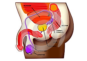Creative human body design with touch points words