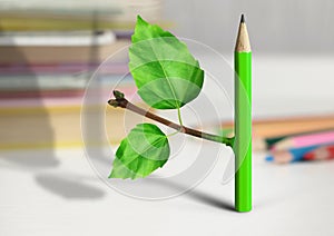 Creative idea concept, pencil with branch and leaves on table